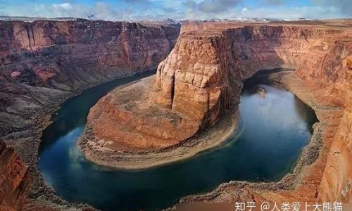 蕨类植物体内有什么-蕨类植物都有哪些毒素-蕨类有毒吗,中国蕨类植物有吸有害物质的功效吗网站